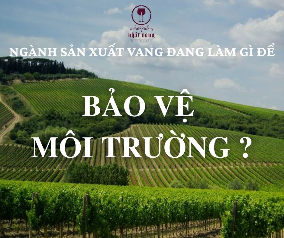 NGÀNH SẢN XUẤT VANG ĐANG LÀM GÌ ĐỂ BẢO VỆ MÔI TRƯỜNG ?