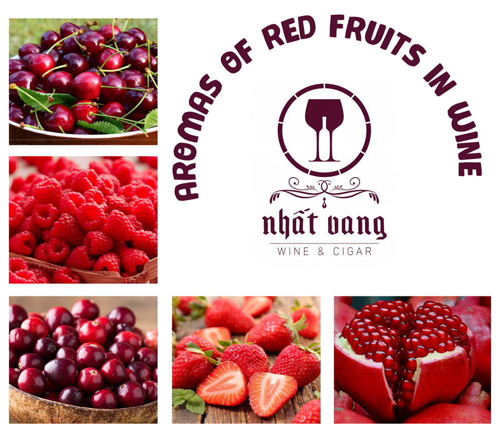 DISCOVERING AROMAS OF RED FRUITS IN WINE
