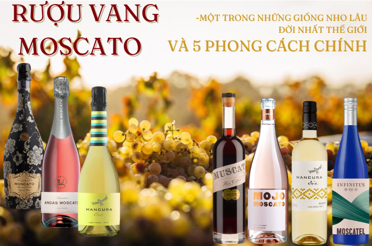 TÌM HIỂU VỀ RƯỢU VANG MOSCATO VÀ 5 PHONG CÁCH CHÍNH CỦA DÒNG NHO LÂU ĐỜI NÀY