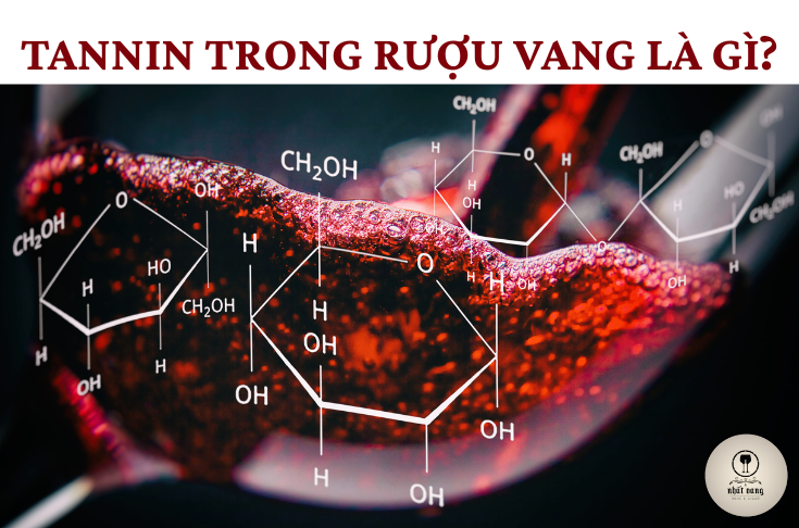 CÁC KHÁI NIỆM CƠ BẢN: TANNIN TRONG RƯỢU VANG LÀ GÌ? VÀ NGHỆ THUẬT CÂN BẰNG VỊ CHÁT