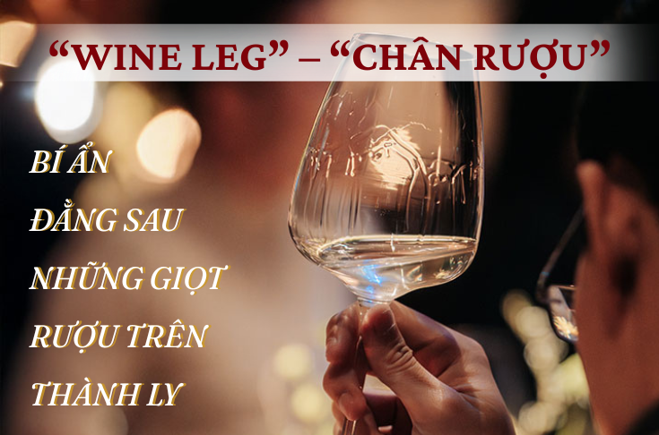 “WINE LEG” – “CHÂN RƯỢU” LÀ GÌ? BÍ ẨN ĐẰNG SAU NHỮNG GIỌT RƯỢU TRÊN THÀNH LY