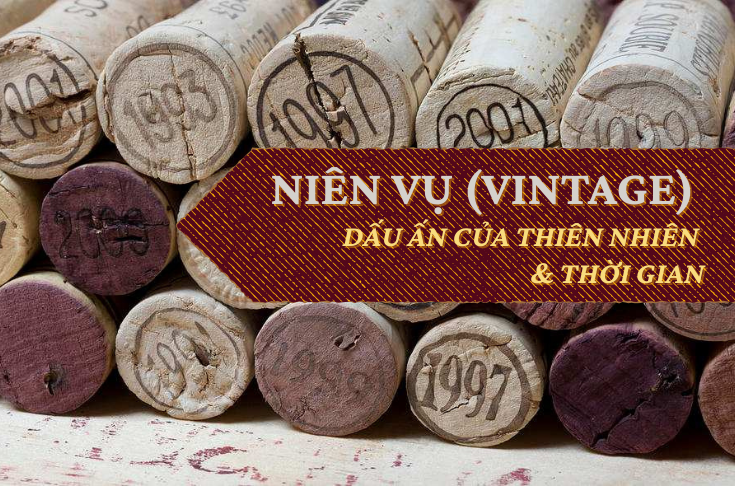 RƯỢU VANG VÀ NIÊN VỤ (VINTAGE): DẤU ẤN CỦA THIÊN NHIÊN VÀ THỜI GIAN