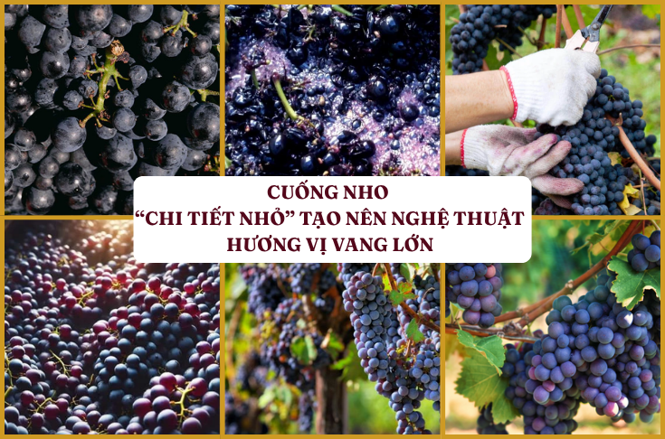 CUỐNG NHO – “CHI TIẾT NHỎ” TẠO NÊN NGHỆ THUẬT HƯƠNG VỊ VANG LỚN