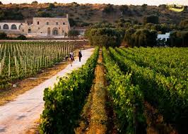 Tìm hiểu vùng Puglia – vùng đất lý tưởng nên đặt chân đến của Ý ⋆ Sành Vang - Cửa Hàng Rượu Vang Nhập Khẩu