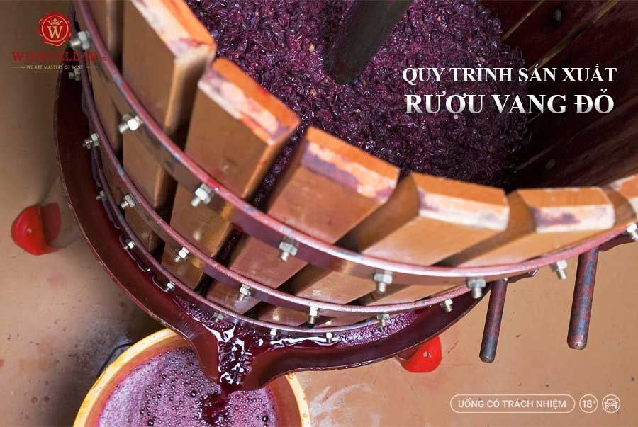 Tìm hiểu quy trình sản xuất rượu vang đỏ